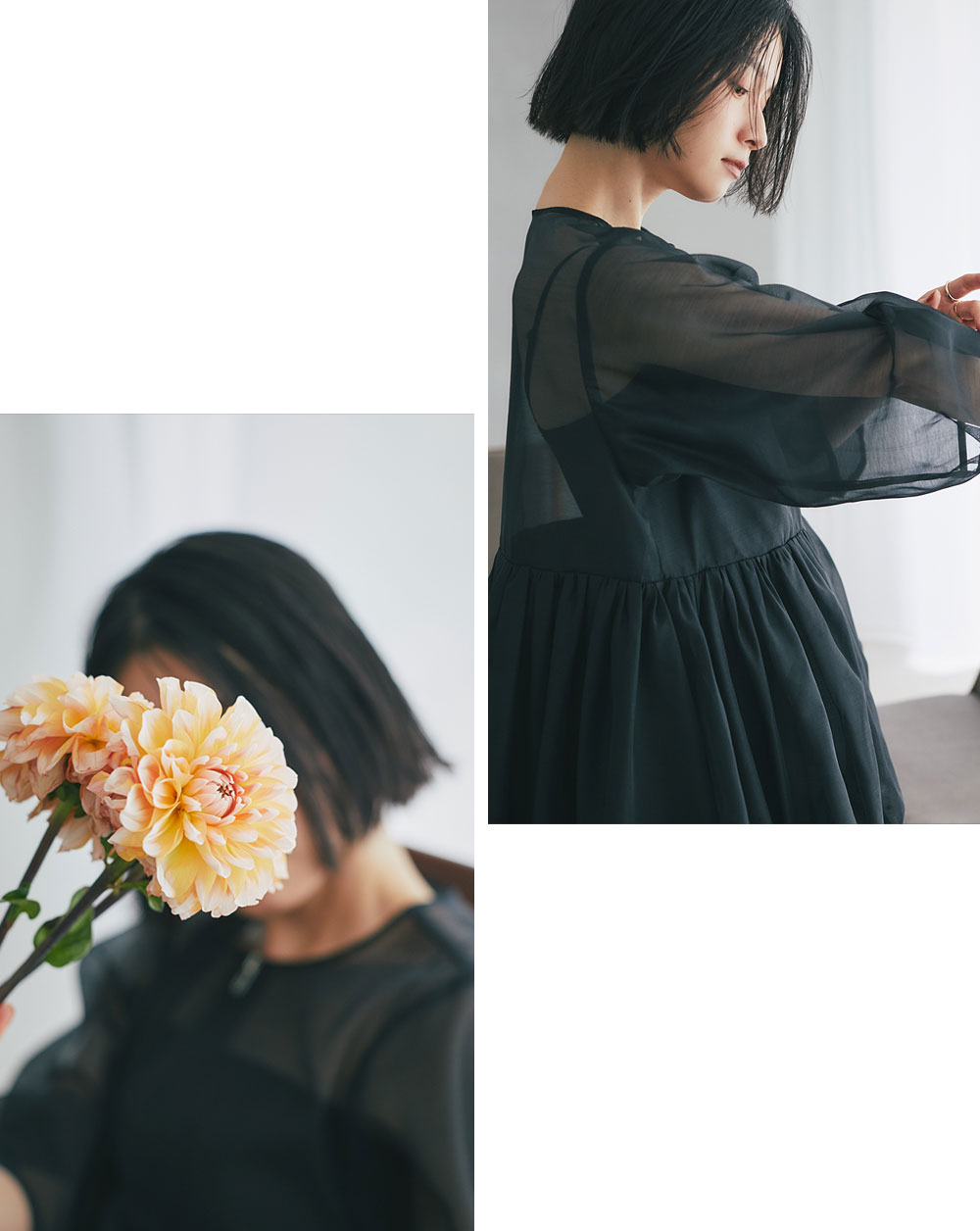 LATE SUMMER COLLECTION